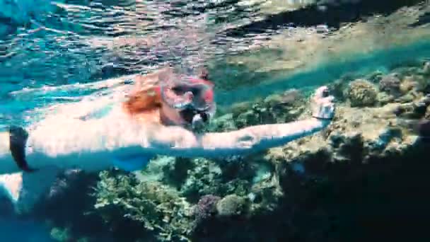 Snorkeling Girl Action Camera Floats Sea Shoots Video Camera — Stock Video