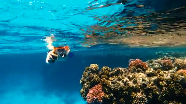 Bir Aksiyon Kamerası Ile Şnorkel Kız Denizde Yüzer Bir Video — Stok video