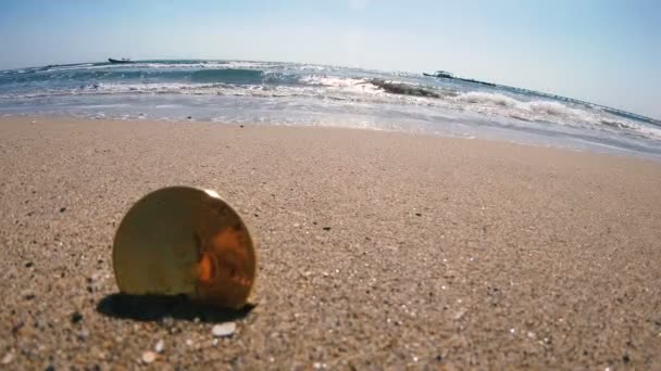 모래위에 비트코인은 바다를 배경으로 비트코인을 거짓말합니다 — 비디오