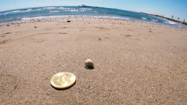 Bitcoin Het Zand Ligt Bitcoin Achtergrond Van Blauwe Zee — Stockvideo