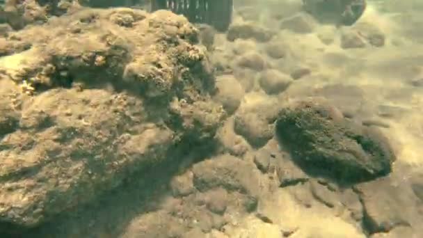 Lixo Mar Poluição Mar — Vídeo de Stock