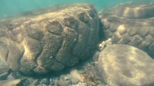 Basura Mar Contaminación Del Mar — Vídeos de Stock