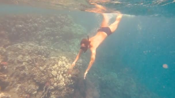 浮潜家伙在海里游泳 — 图库视频影像