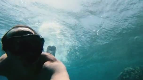 男はウミガメと一緒に泳ぎ アクションカメラでそれを撮影 — ストック動画