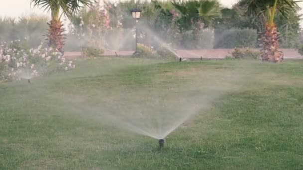 Automatische Bewässerung Von Gras Und Blumen — Stockvideo