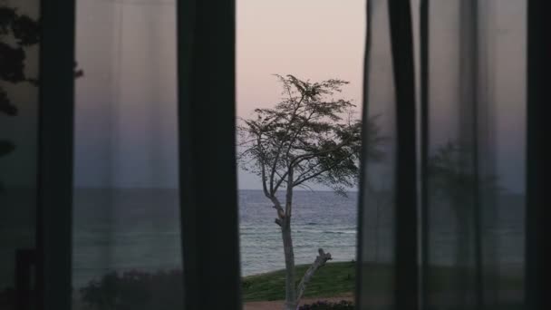 Window Overlooking Sea — Stock Video