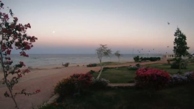 denize bakan pencere.