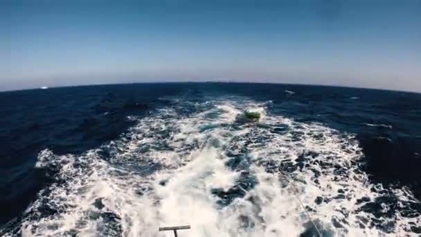 Σκάφος Μύτη Του Γιοτ Κόβει Κύματα — Αρχείο Βίντεο