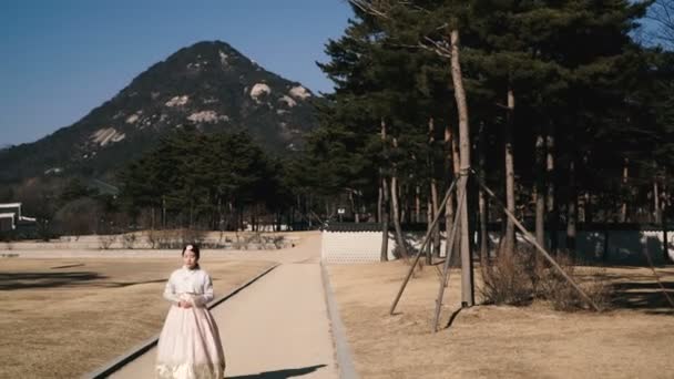 Seoul Sydkorea Januari 2019 Historiska Museer Seoul Dressat Koreanerna Besöka — Stockvideo