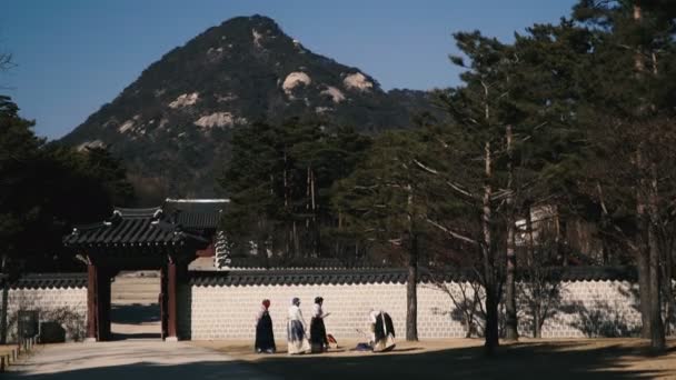 Corée Sud Seoul Janvier 2019 Musées Historiques Séoul Dressy Coréens — Video