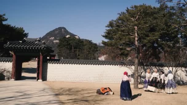 Corée Sud Seoul Janvier 2019 Musées Historiques Séoul Dressy Coréens — Video