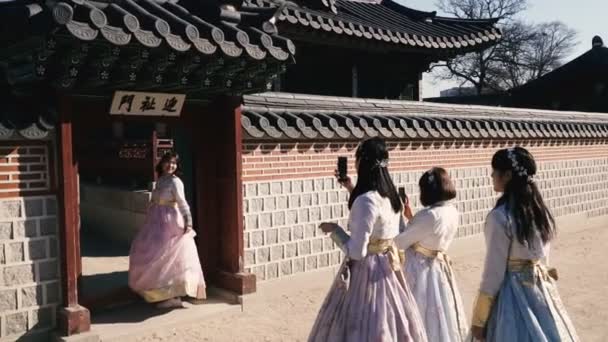 Seoul South Korea Januar 2019 Historiske Museer Seoul Dressy Koreanere – Stock-video