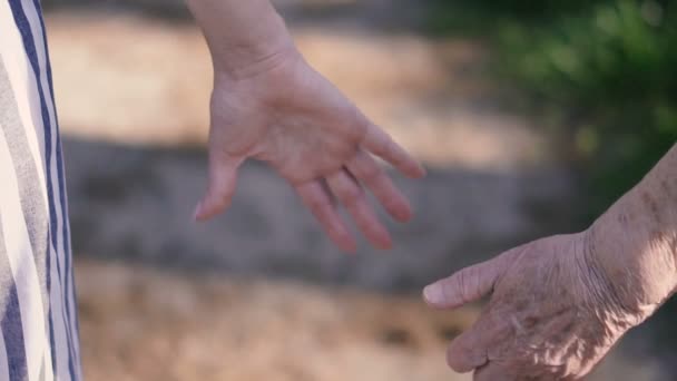 Brazos Las Viejas Manos Abuela Toman Manos Mujeres Jóvenes — Vídeo de stock