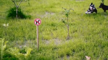 Köpek gezdirmek yasaktır. Tabelanın arka planında, köpek gezdirmenin çimenlikte köpek çalıştırması yasaktır.