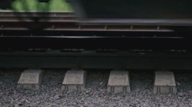 Tren. Trenle trenle.