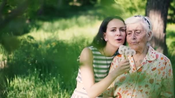 祖母と孫娘はタンポポを吹く — ストック動画
