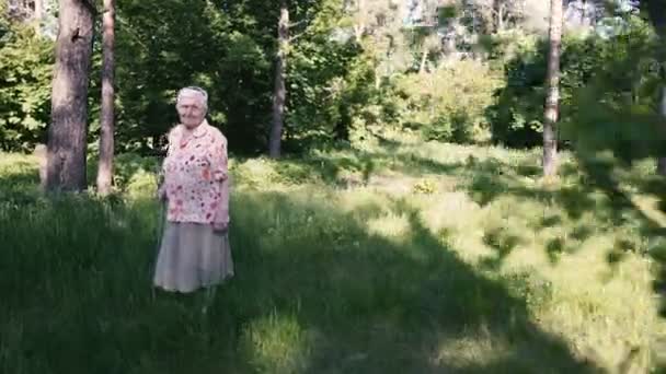 百歳の祖母の肖像 — ストック動画