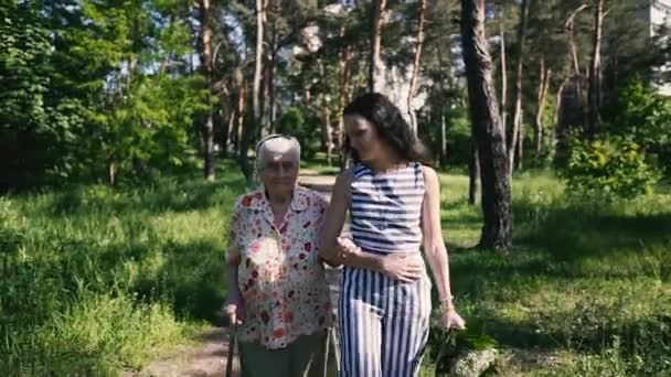 Nagymama Unokája Nagymama Unokája Sétálnak Parkban — Stock videók