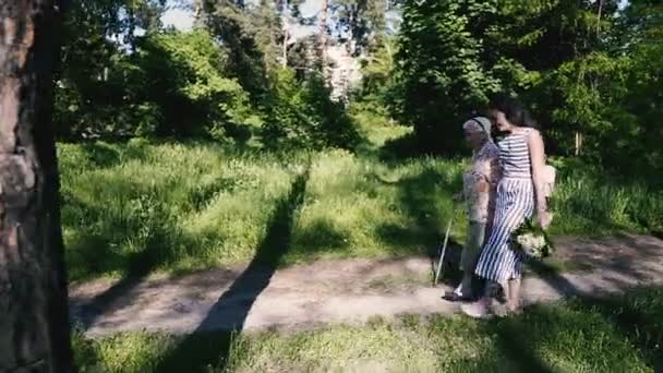 Mormor Och Barnbarn Mormor Och Barnbarn Går Parken — Stockvideo