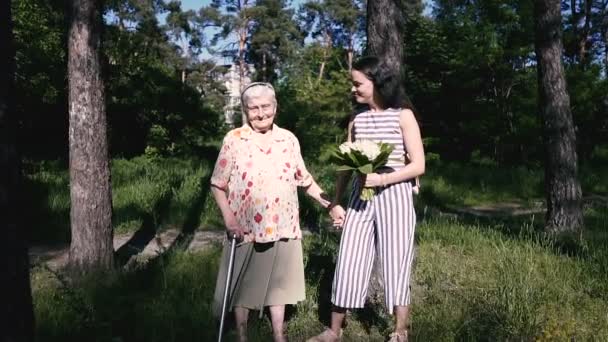 Grootmoeder Kleindochter Grootmoeder Kleindochter Lopen Het Park — Stockvideo