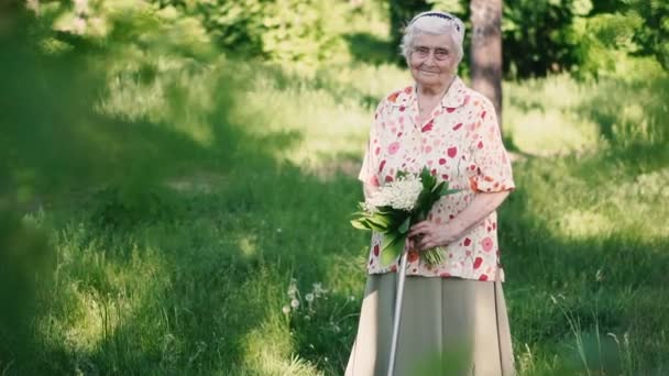 Nonna Nipote Nonna Nipote Stanno Passeggiando Nel Parco — Video Stock