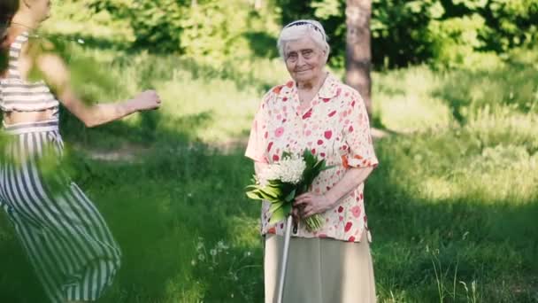 할머니와 손녀에요 할머니와 손녀가 공원을 있습니다 — 비디오
