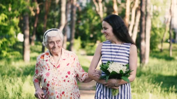 Büyükanne Torun Büyükanne Torun Parkta Yürüyorlar — Stok video