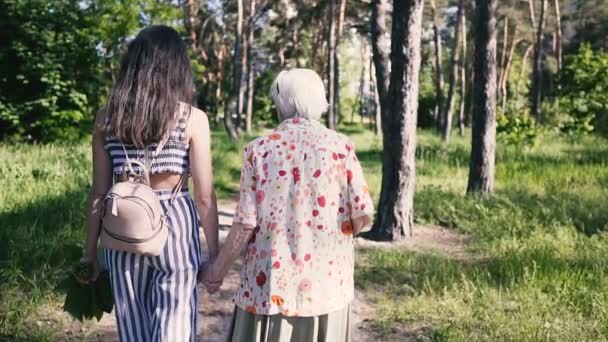 祖母と孫娘は手をつないで公園を歩く — ストック動画