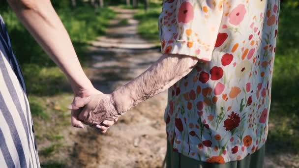 Abuela Nieta Toman Mano Caminan Parque — Vídeo de stock