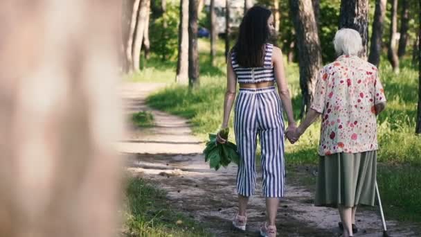 Abuela Nieta Toman Mano Caminan Parque — Vídeos de Stock