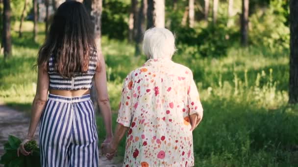 Nagymama Unokája Tartsa Kezét Járni Parkban — Stock videók