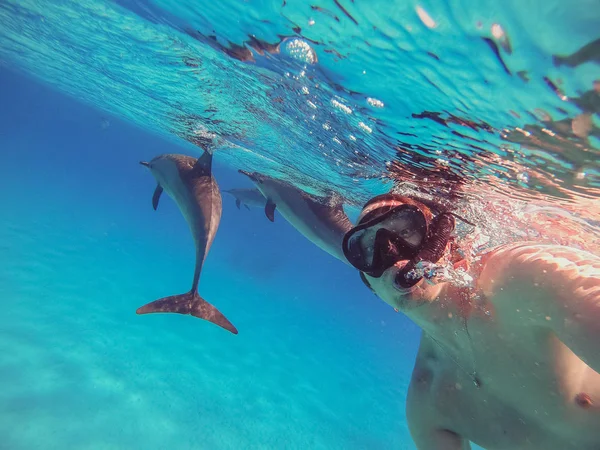 Селфи с дельфинами. Парень плавает с дельфинами в открытом море — стоковое фото