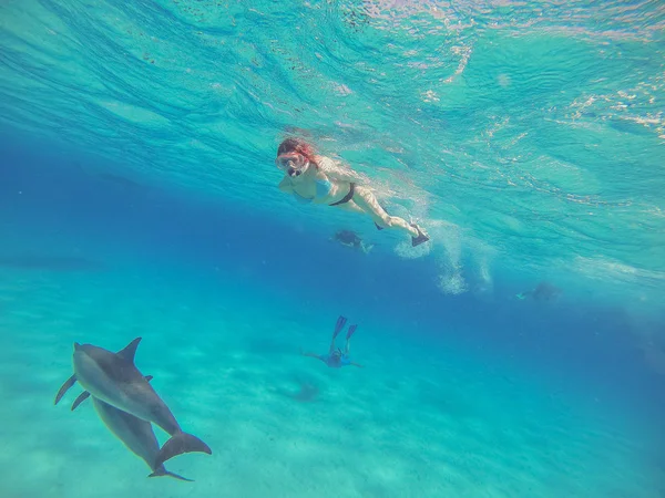 Golfinhos. Uma menina nada com golfinhos e atira neles em um actio — Fotografia de Stock