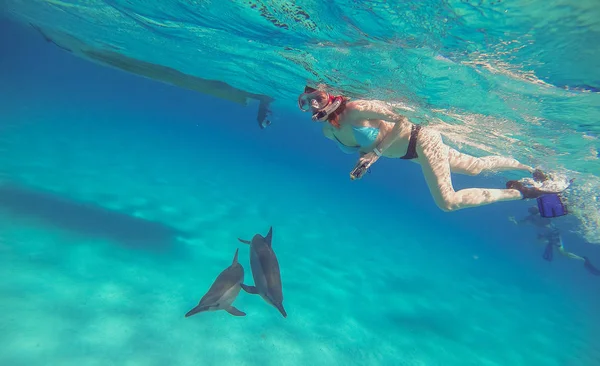 Delfine. ein Mädchen schwimmt mit Delfinen und erschießt sie auf einer Aktio — Stockfoto