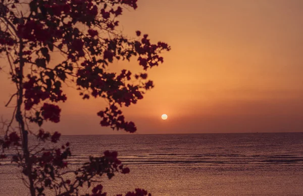 L'aube du soleil sur la mer Rouge — Photo