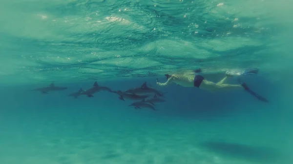イルカとのセルフ。男はオープンセでイルカと一緒に泳ぐ — ストック写真