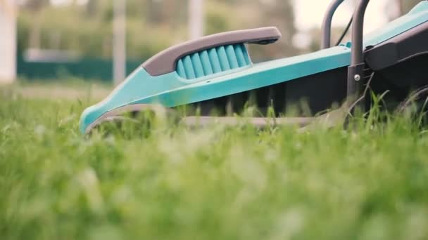 Lawn Mower Lawn Mower Mows Grass — Stock Video