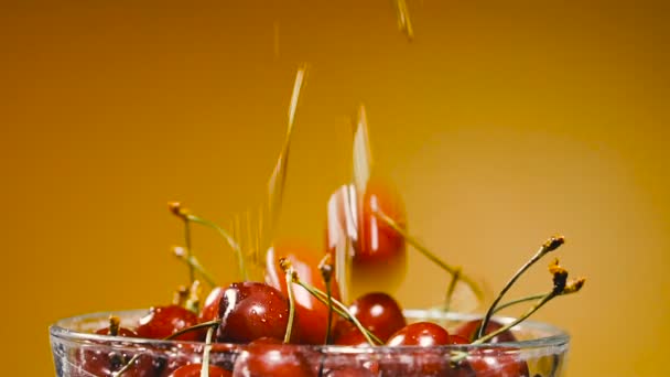 Cerezas Dulce Cereza Cae Plato — Vídeo de stock