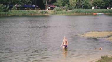 Pekin ırkı köpek gölde yüzüyor