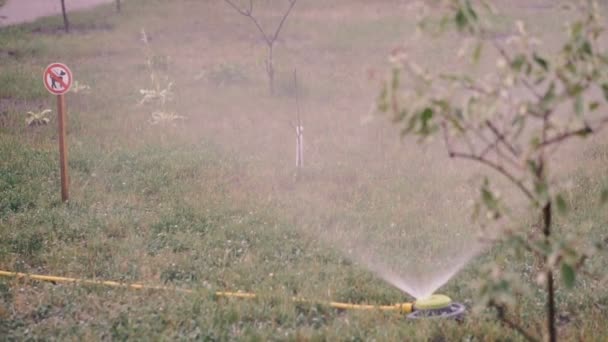 Automatisches Bewässern Des Rasens Grüner Rasen Mit Hinweisschild Hundeauslauf Ist — Stockvideo
