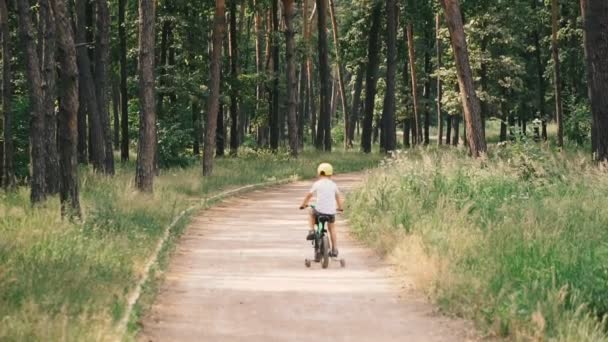 子供用自転車 公園で乗っている子供と自転車 — ストック動画