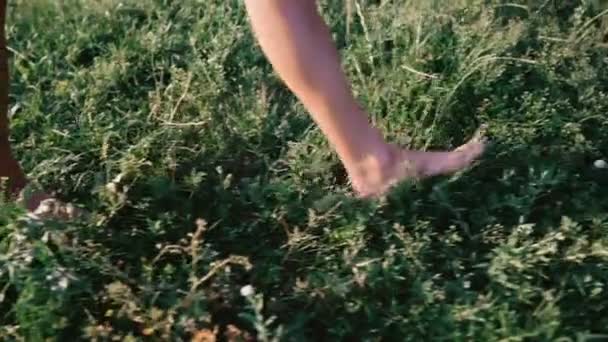 Women Legs Green Grass — Stock Video