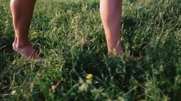 Gambe Delle Donne Vanno Sull Erba Verde — Video Stock