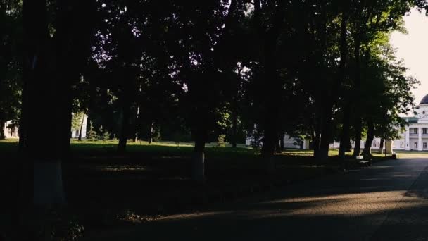 宮殿と公園のアンサンブル カチャノフカウクライナ — ストック動画