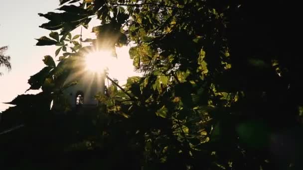 太阳光线穿过建筑 — 图库视频影像