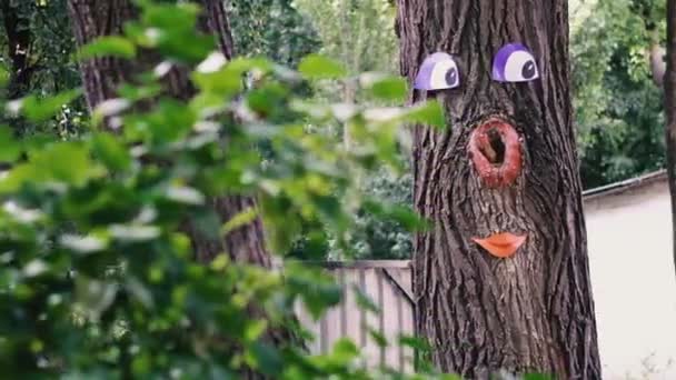 Árbol Árbol Con Una Cara Pintada — Vídeos de Stock