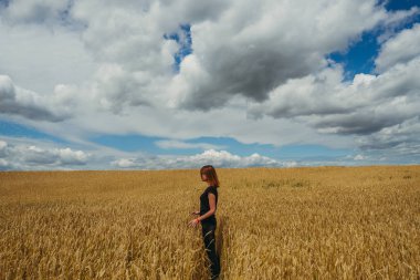 Alan. Bir kız sarı buğday tarlasında yürüyor..