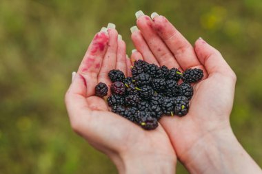 Dut. Dut dut tutan eller