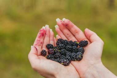 Dut. Dut dut tutan eller