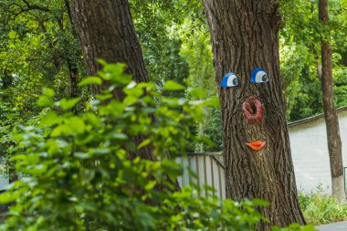 Ağaç. Boyalı yüzlü ağaç.